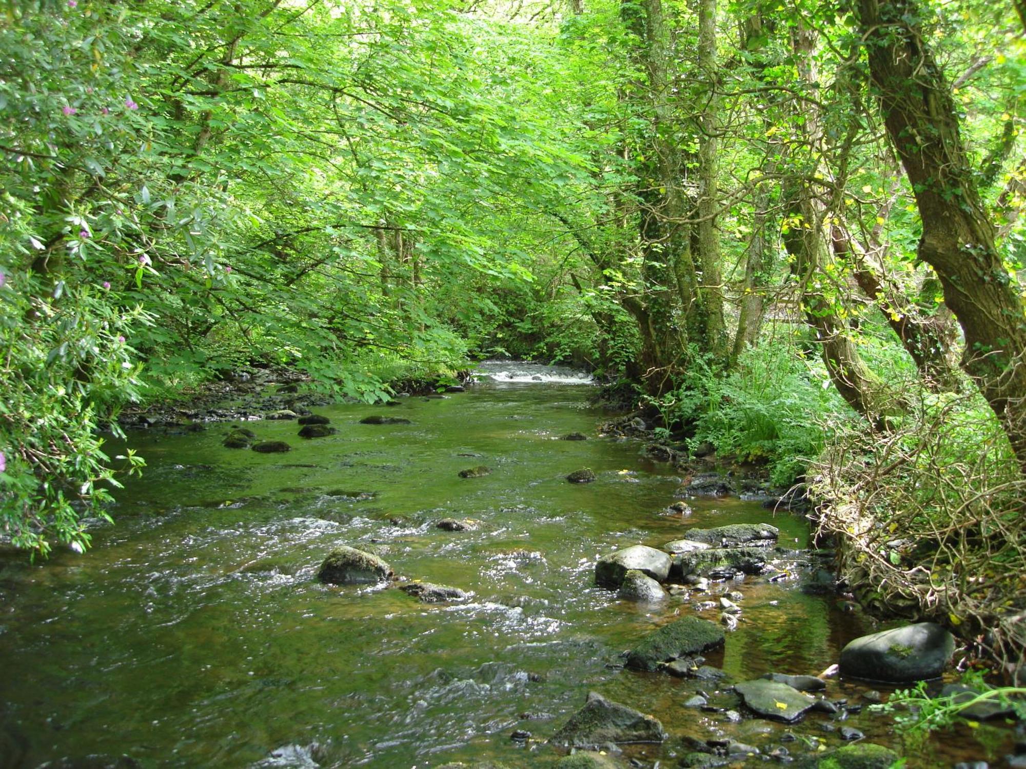 Gleann Fia Lower Coolcorcoran